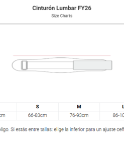 PICSIL CINTURON LUMBAR FY26 - BLACK - Imagen 5